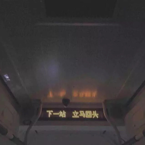 午夜性插视频蜜月
