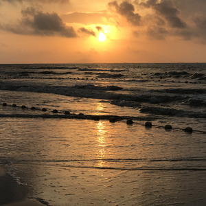 午夜性插视频蜜月
